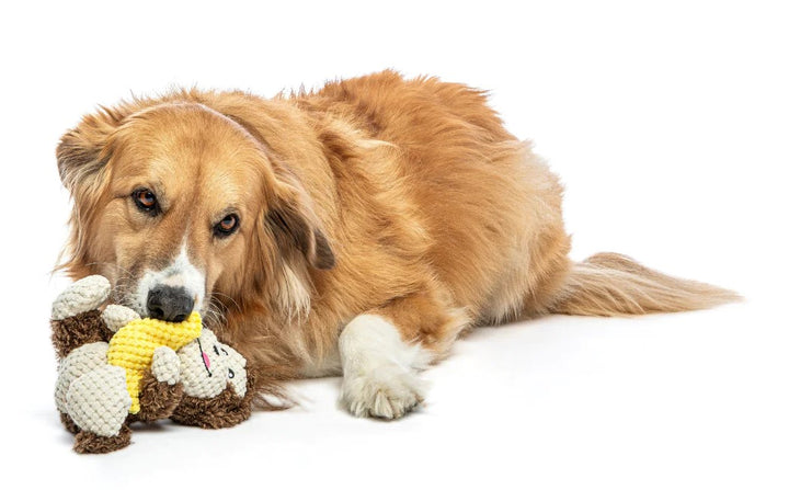 Guru Dog Toy Loveys Monkey Medium 23cm X 16cm X 18cm