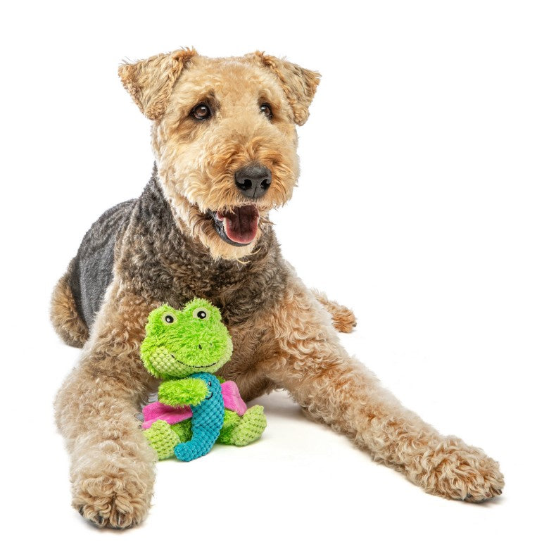 Guru Dog Toy Loveys Frog Medium 9cm X 20cm X 18cm