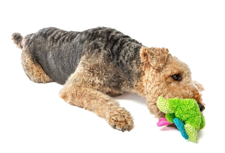 Guru Dog Toy Loveys Frog Medium 9cm X 20cm X 18cm