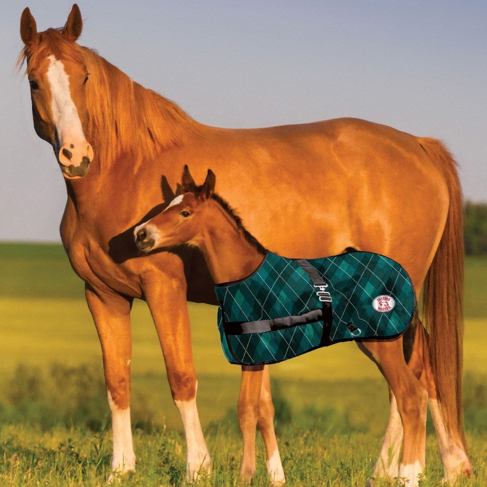 Foal Rug Growing Thermomaster Emerald Diamond