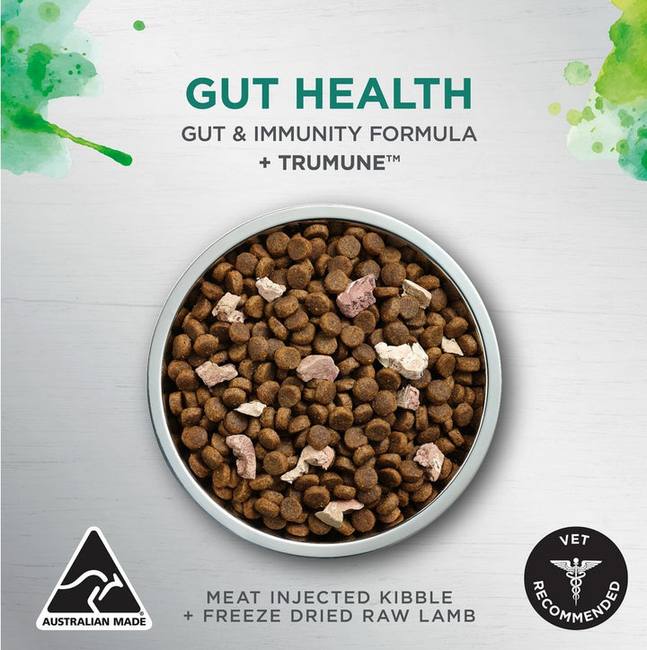 Ivory Coat Raw Health Dog Adult Gut Health 1.8kg