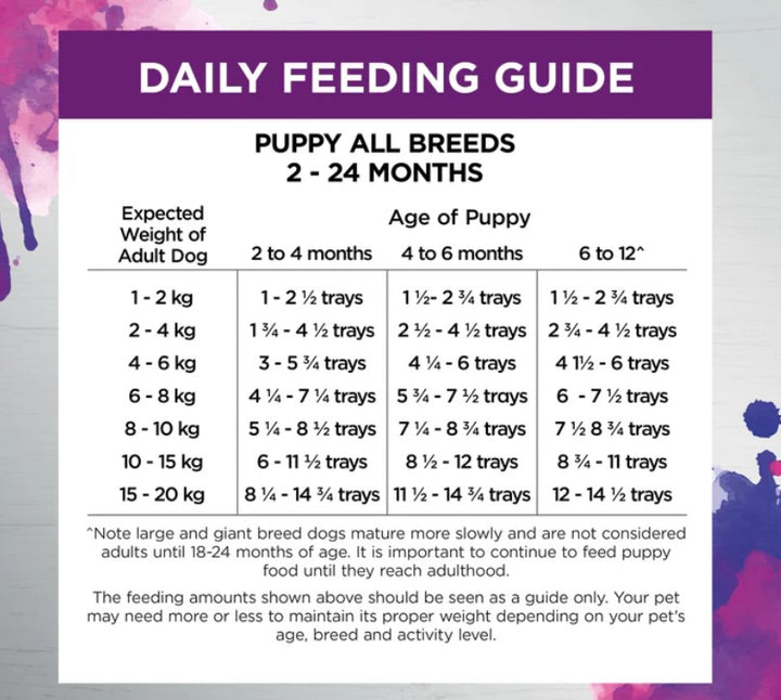 Ivory Coat Raw Inspired Wet Dog Puppy Immunity 100gm Box Of 9