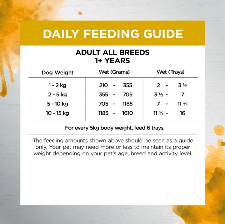 Ivory Coat Raw Inspired Wet Dog Adult Health & Vitality 100gm Box Of 9