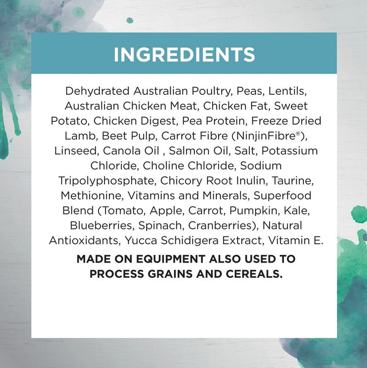 Ivory Coat Raw Health Cat Adult Oral Care 4kg