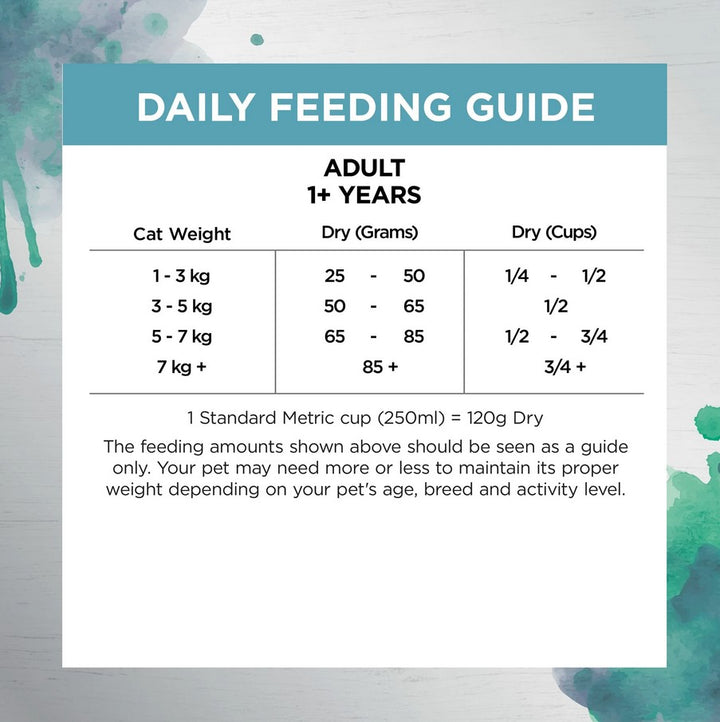 Ivory Coat Raw Health Cat Adult Oral Care 4kg