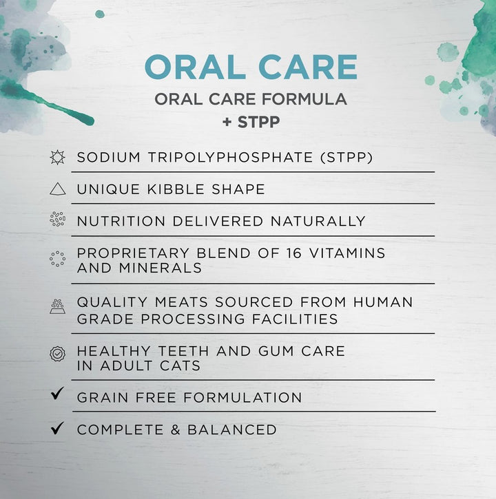 Ivory Coat Raw Health Cat Adult Oral Care 4kg