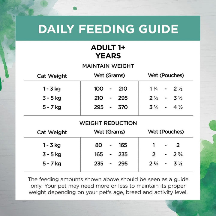 Ivory Coat Raw Inspired Wet Cat Adult Indoor & Hairball 85gm Box Of 12