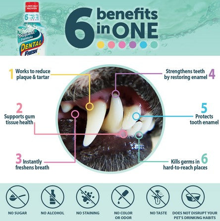 Dental Fresh Original Formula 503ml