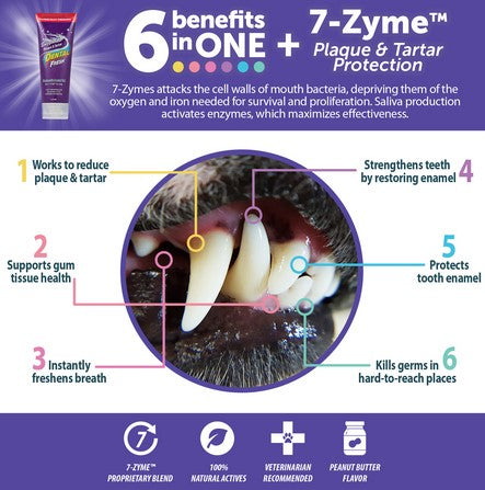 Dental Fresh Enzymatic Plaque & Tartar Dental Gel With Brush