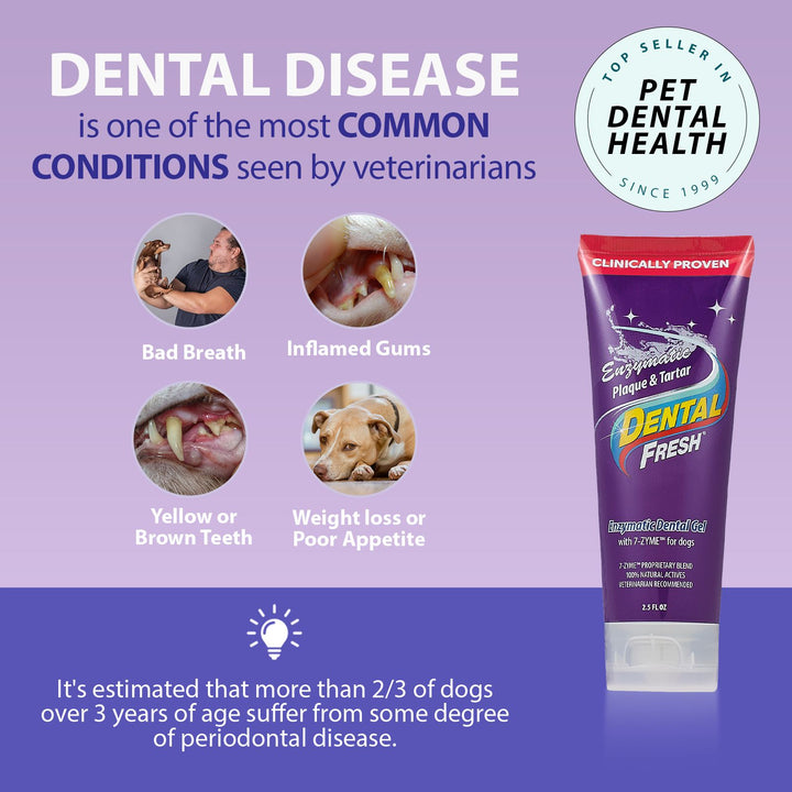 Dental Fresh Enzymatic Plaque & Tartar Dental Gel With Finger