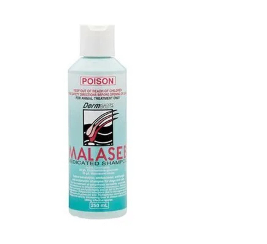 Dog Shampoo Malaseb Medicated 250ml