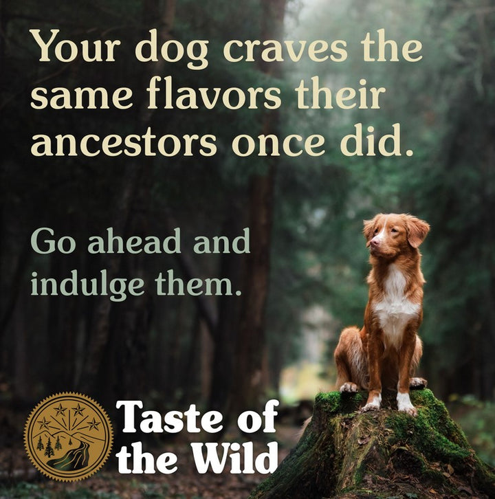 Taste Of The Wild Dog South West Canyon Wild Boar 2kg