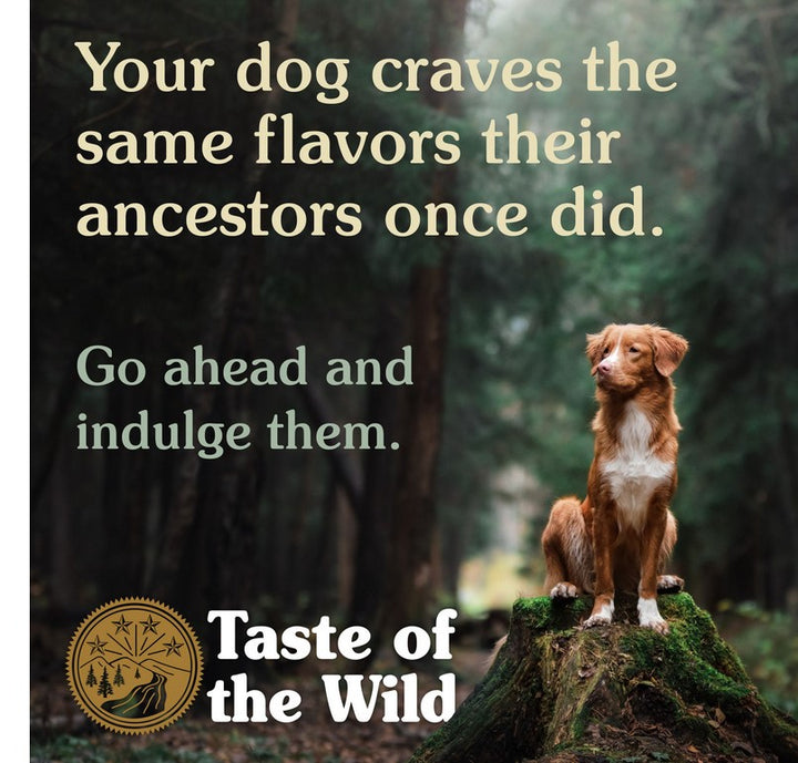 Taste Of The Wild Dog Pine Forest Venison & Legumes 12.2kg