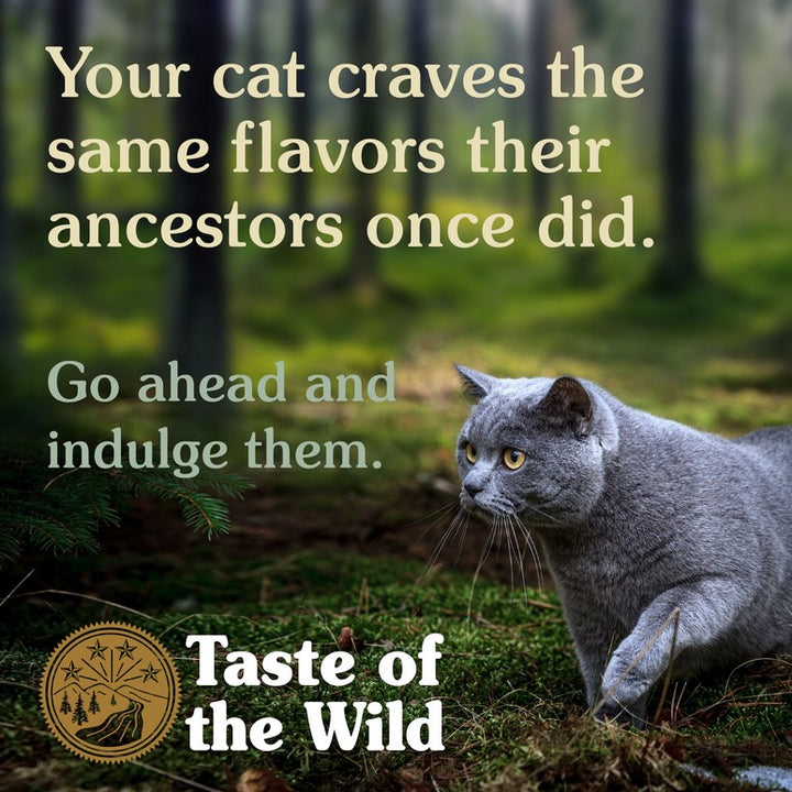 Taste Of The Wild Cat Rocky Mountain Roasted Venison & Smoked Salmon 2kg