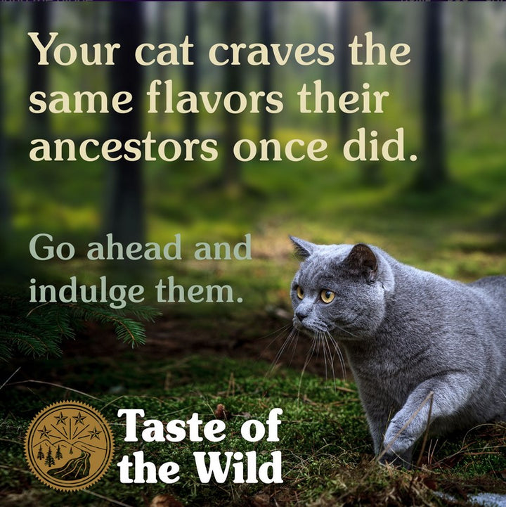 Taste Of The Wild Cat Canyon River Trout & Smoked Salmon 2kg