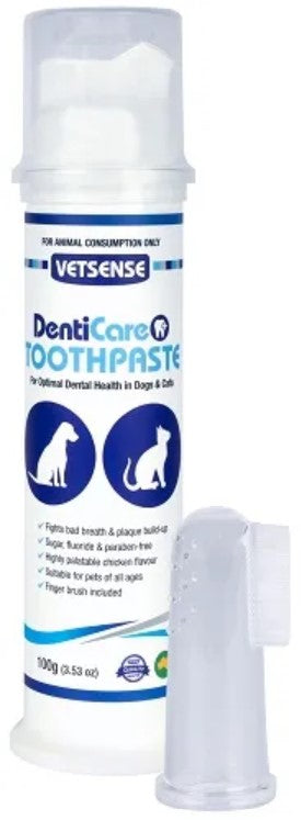 Tooth Denticare Paste Kit 100gm