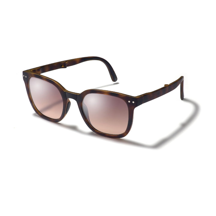 Sunglasses Gidgee Canter Tortoise