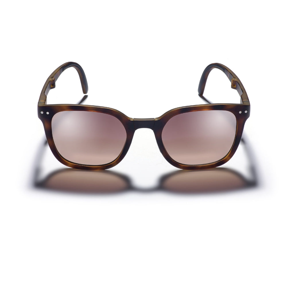Sunglasses Gidgee Canter Tortoise