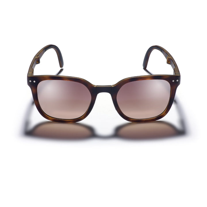 Sunglasses Gidgee Canter Tortoise