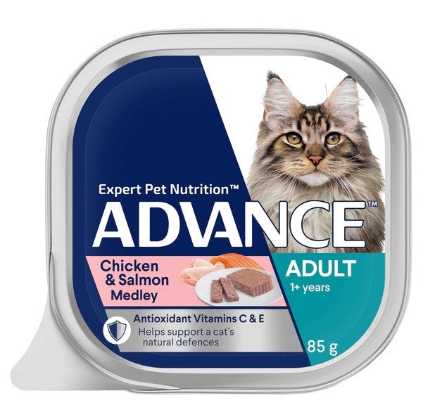 Advance Cat Wet Tray Chicken & Salmon Medley 7 X 85gm-Cat Food & Treats-Ascot Saddlery