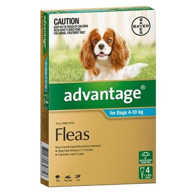Advantage Dog Medium 4 Pack-Dog Wormer & Flea-Ascot Saddlery