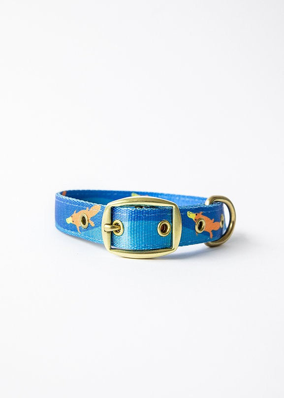 Anipal Dog Collar Piper The Platypus-Dog Collars & Leads-Ascot Saddlery