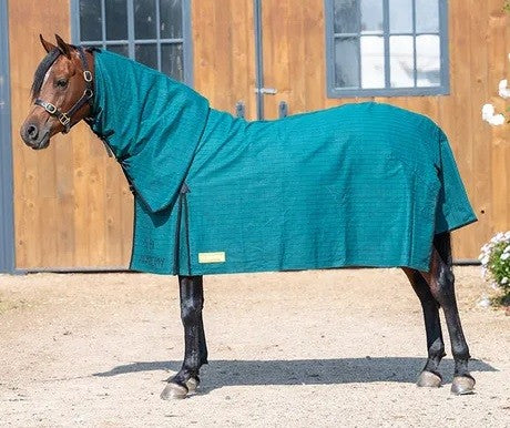 Canvas Combo Academy-RUGS: Winter Rugs, Neck Rugs & Hoods-Ascot Saddlery