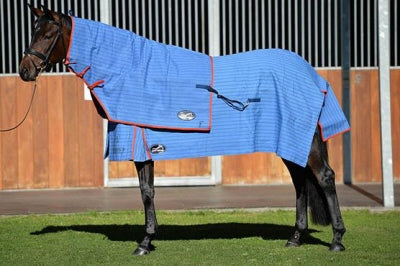 Canvas Neck Rug Eurohunter Vancouver-RUGS: Winter Rugs, Neck Rugs & Hoods-Ascot Saddlery
