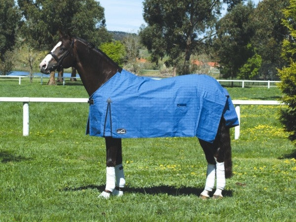 Canvas Rug Unlined Eurohunter Gladiator-RUGS: Summer Rugs, Neck Rugs & Hoods-Ascot Saddlery