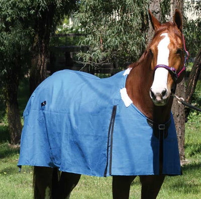 Canvas Rug Zilco Rip Protector-RUGS: Winter Rugs, Neck Rugs & Hoods-Ascot Saddlery