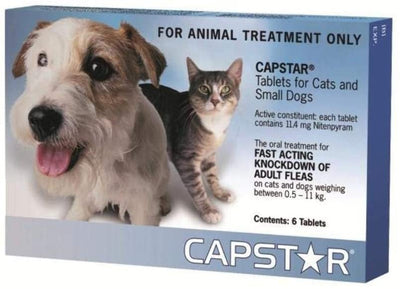 Capstar Cat & Small Dog-Dog Wormer & Flea-Ascot Saddlery