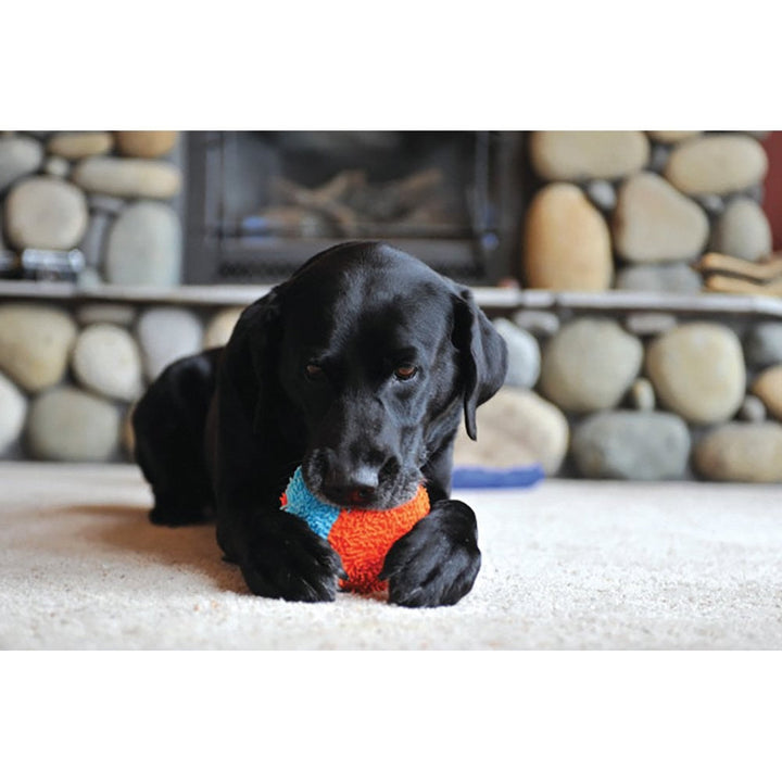 Chuckit Dog Toy Indoor Shaker 16.5cm X 14.5cm-Dog Toys-Ascot Saddlery