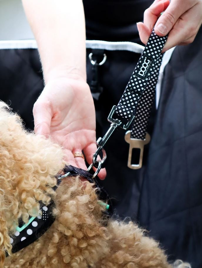 Doog Dog Car Restraint Pongo-Dog Accessories-Ascot Saddlery
