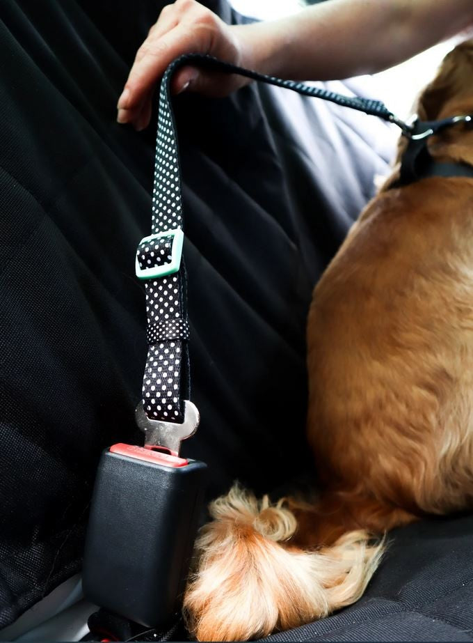 Doog Dog Car Restraint Pongo-Dog Accessories-Ascot Saddlery