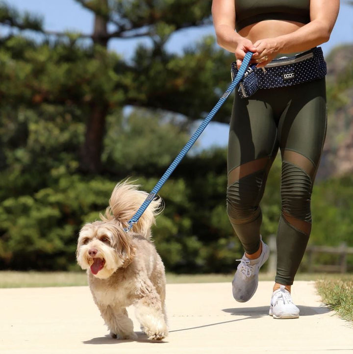 Doog Walkie Belt Navy Polka Dot-Dog Walking-Ascot Saddlery