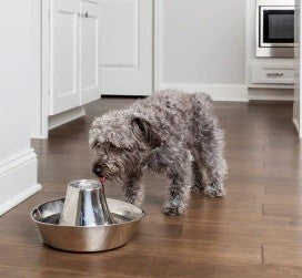 Drinkwell Pet Fountain Seaside Stainless Steel-Dog Accessories-Ascot Saddlery
