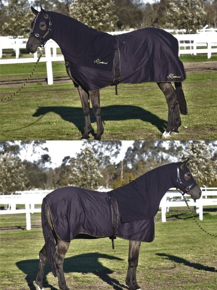 Earlwood Show Rug Black & Gold-RUGS: Summer Rugs, Neck Rugs & Hoods-Ascot Saddlery