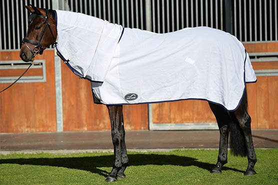 Eurohunter Flag Neck Rug-RUGS: Summer Rugs, Neck Rugs & Hoods-Ascot Saddlery