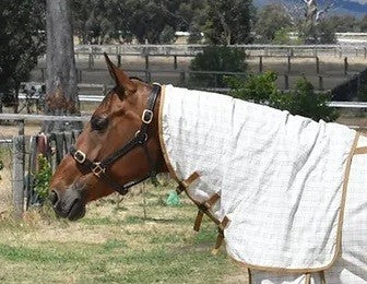 Eurohunter Grand National Crossover Neck Rug-RUGS: Summer Rugs, Neck Rugs & Hoods-Ascot Saddlery