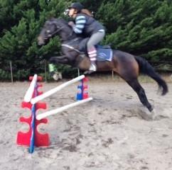 Ferrari Smart Jump-STABLE: Jumps & Markers-Ascot Saddlery