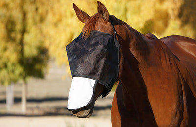 Flyveils By Design Nose Cover Fly Mask Black-HORSE: Flyveils & Bonnets-Ascot Saddlery
