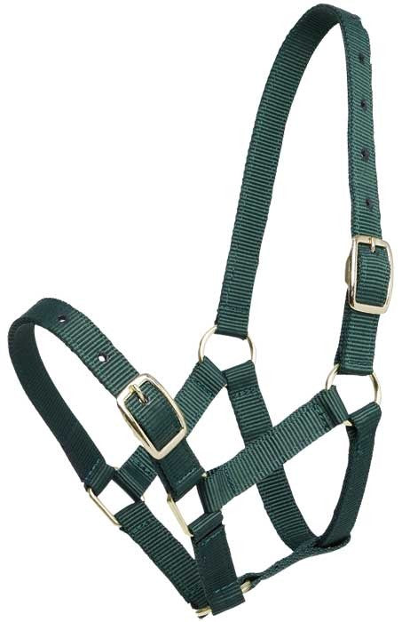 Foal Headstall Gymkhana Hunter Green-HORSE: Headstalls-Ascot Saddlery