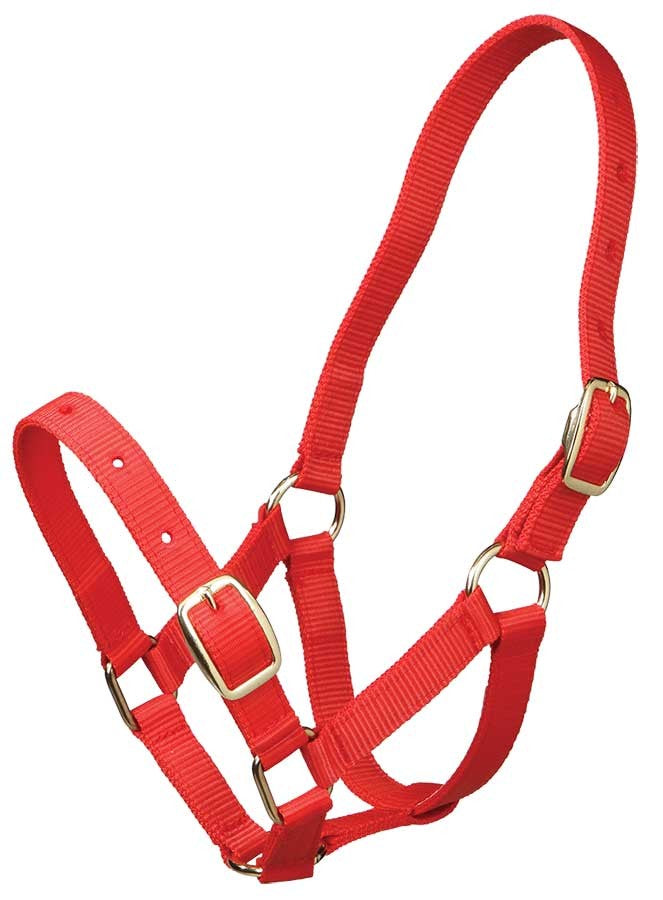 Foal Headstall Gymkhana Red-HORSE: Headstalls-Ascot Saddlery