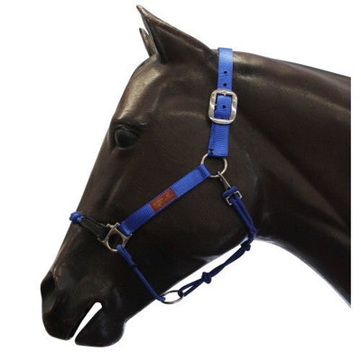 Fort Worth Hybrid Halter Nylon Blue-HORSE: Headstalls-Ascot Saddlery