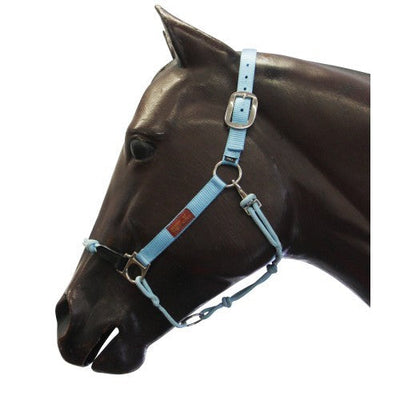 Fort Worth Hybrid Halter Nylon Turquoise-HORSE: Headstalls-Ascot Saddlery