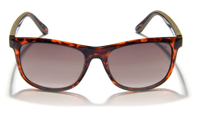 Gidgee Fender Sunglasses Amber Tortoise Frame & Brown Polar Gradient Lens-RIDER: Glasses & Goggles-Ascot Saddlery