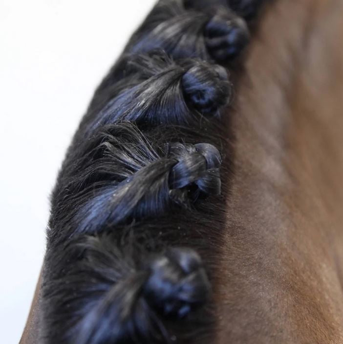Hairy Pony Taming Wax-STABLE: Show Preparation-Ascot Saddlery