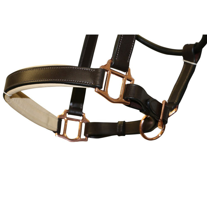 Headstall Leather Padded Jeremy & Lord Rose Gold Brown-HORSE: Headstalls-Ascot Saddlery