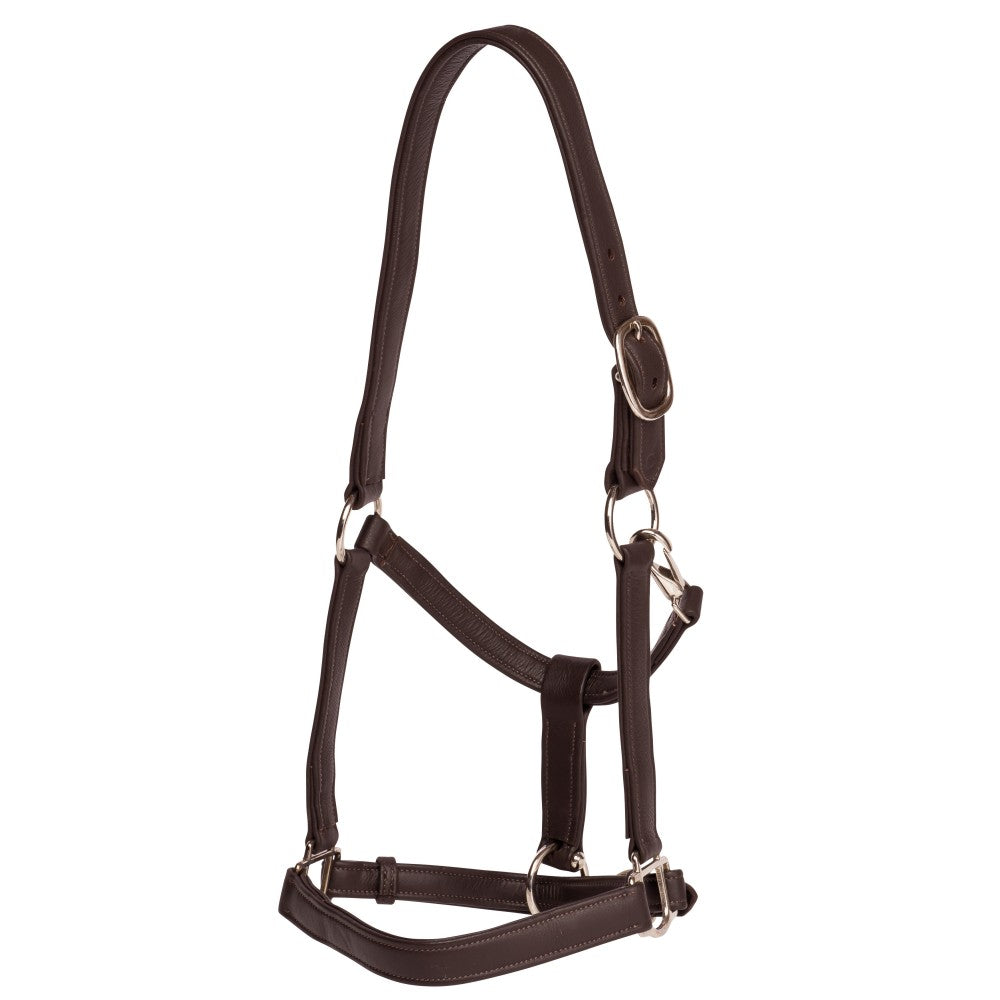 Headstall Leather Soft Jeremy & Lord Black-HORSE: Headstalls-Ascot Saddlery