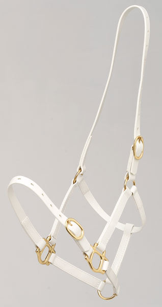 Headstall Plastic Zilco 19mm White-HORSE: Headstalls-Ascot Saddlery